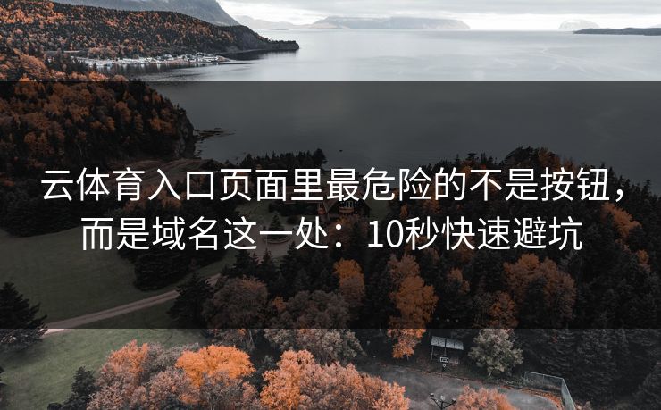 云体育入口页面里最危险的不是按钮，而是域名这一处：10秒快速避坑