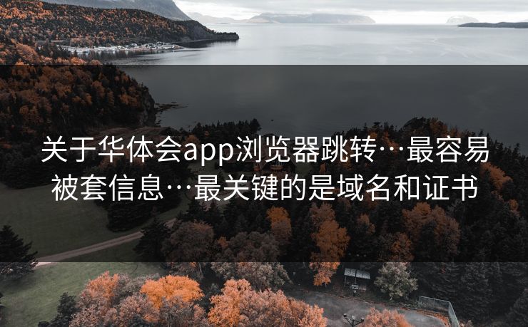 关于华体会app浏览器跳转…最容易被套信息…最关键的是域名和证书