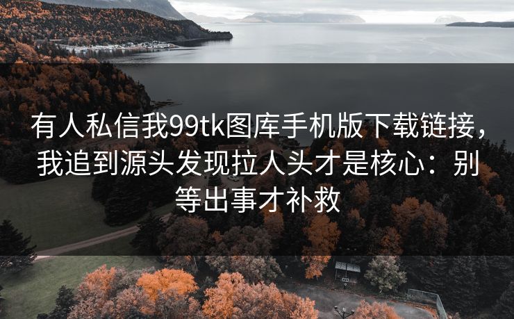 有人私信我99tk图库手机版下载链接，我追到源头发现拉人头才是核心：别等出事才补救