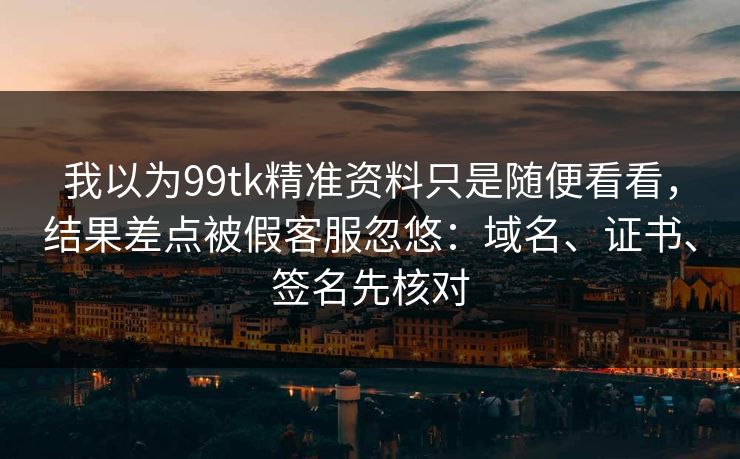 我以为99tk精准资料只是随便看看，结果差点被假客服忽悠：域名、证书、签名先核对