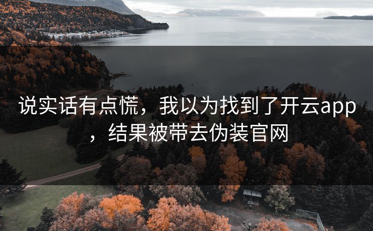 说实话有点慌，我以为找到了开云app，结果被带去伪装官网